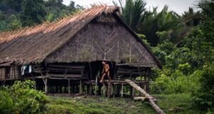 uma rumah suku mentawai